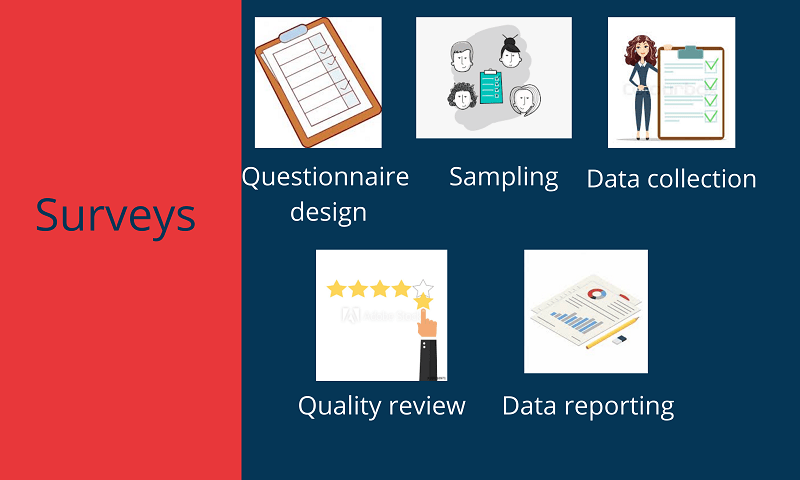 Surveys